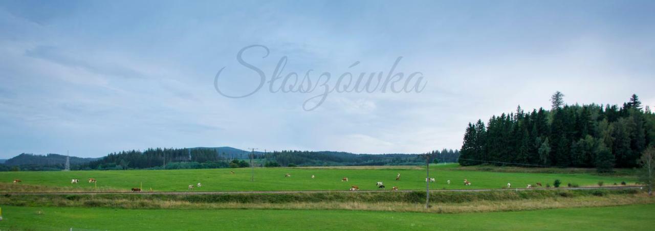 Agroturystyka Sloszowka Duszniki Zdrój 外观 照片